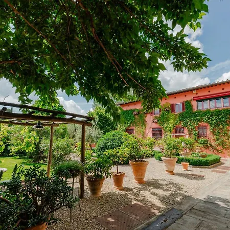 فيلة I Palpiti - Dream In *