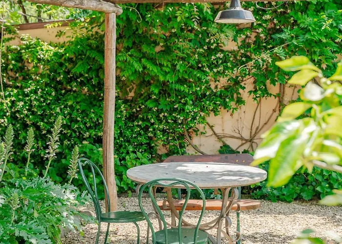 I Palpiti - Dream In *